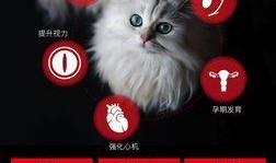 料理猫最新爆料,揭秘美食界的神秘力量与独家秘籍