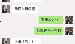 青岛吃瓜网红事件视频播放,视频播放量惊人，真相揭秘引热议