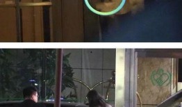 扒叔爆料阿影是谁啊视频,阿影身份之谜，视频爆料引热议