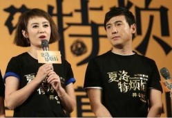 沈腾马丽娱乐圈爆料视频,揭秘明星幕后故事