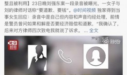 刘强东事件爆料视频播放,真相与争议再引热议