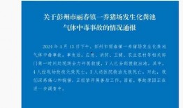 彭州网友爆料事件视频,视频揭露惊人真相！