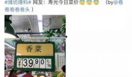 今日菜价爆料新闻视频,蔬菜价格波动，市民生活受影响