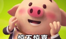 娱乐爆料猪头表情包,娱乐爆料界的“萌宠”新宠儿