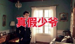 真假少爷爆料视频在线观看,独家爆料视频在线观看，真相大白！