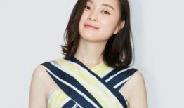 娱乐爆料何洁是谁扮演的,娱乐圈新晋小花旦的精彩演绎