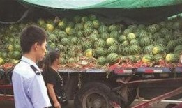 成县吃瓜网红事件真相揭秘,真相与误解的交织