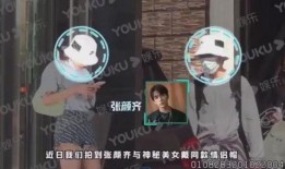 偶像爆料视频在线观看,独家爆料视频带你一窥明星真实生活