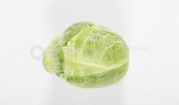 吃瓜素材视频大全免费,吃瓜素材视频大全，带你轻松解锁欢乐时光