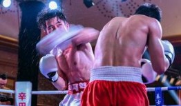 吃瓜娱乐拳击视频下载,揭秘吃瓜群众热捧的拳击视频下载热潮