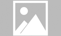 临城家长爆料新闻视频,校园安全事件引发社会关注