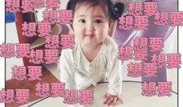 追星吃瓜小能手小说免费阅读,吃瓜小能手逆袭记