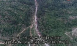 灵寿爆料最新,揭秘最新热点事件背后的真相