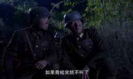 性感远征军在线观看,激情燃烧的视觉盛宴