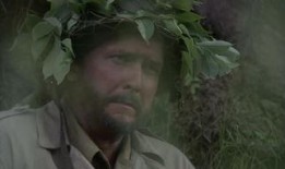 性感远征军在线观看,激情燃烧的视觉盛宴