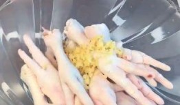爆料鸡爪视频大全,背后真相与争议