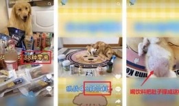 零食博主爆料视频,网红零食背后的真相大曝光！