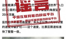 岳阳爆料新闻事件,揭秘新闻事件背后的真相与争议
