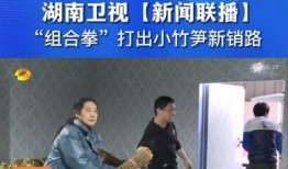 岳阳爆料新闻事件,揭秘新闻事件背后的真相与争议