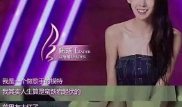 陆瑶爆料好声音视频,独家视频揭秘幕后真相