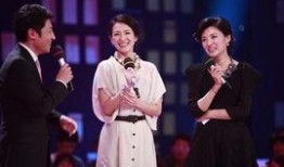 撒贝宁爆料游戏视频大全,游戏视频大全背后的精彩瞬间