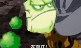 植物卡包爆料视频,探秘自然界的神奇力量