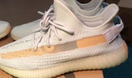 小椰子爆料视频全集,揭秘幕后真相与精彩瞬间