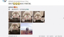 冰冰爆料烧饼视频,一场娱乐圈的悬疑大剧