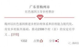 梅州头条最新爆料,揭秘梅州某重大事件背后真相！