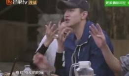 爆料贾乃亮复播视频是真的吗,真相即将揭晓
