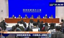 新冠外国高管爆料新闻,揭秘跨国企业内部防疫困境与应对策略