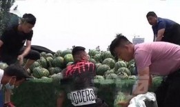 成县吃瓜网红事件真相揭秘,真相与误解的交织