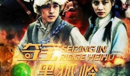 黒狐在线观看,暗夜猎狐者的传奇征程