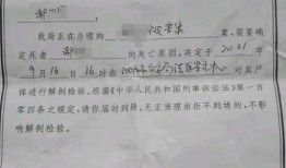 沈阳学生爆料案件最新消息,真相逐步浮出水面