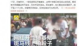 河南网红爆料新闻视频下载,河南网红爆料新闻视频引发热议