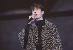 王一博韩国爆料视频,明星背后的真实生活