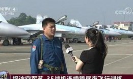 武汉飞行员爆料视频最新,揭秘飞行安全疑云与内部真相