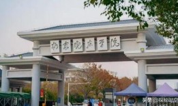 大瓜爆料电梯视频,大瓜爆料视频揭秘惊人一幕