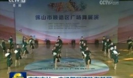 佛山今日爆料新闻,聚焦城市热点事件追踪