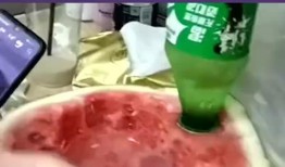 我的吃瓜室友免费阅读,吃瓜者的狂欢之旅