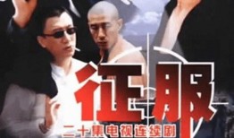 征服电视在线观看,在线观看的视听盛宴