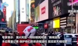 佛山求助记者爆料事件最新,真相与舆论漩涡的交织