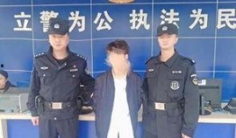 长沙公安局爆料案件最新,连环盗窃案告破，警方揭秘犯罪团伙作案手法