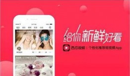 爆料图片视频大全集最新,图片视频大全集深度解析