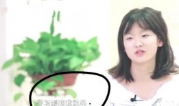 娱乐圈的爆料和传闻是否可信,揭秘真相与虚构的边界