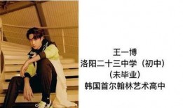 王一博韩国爆料视频,明星背后的真实生活