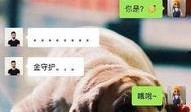 爆料东莞土豪视频大全,视频大全带你领略奢华风采