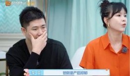 王岩日记爆料视频下载,独家下载与深度解析