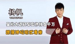 星光大道杨帆爆料视频,幕后故事与真实情感