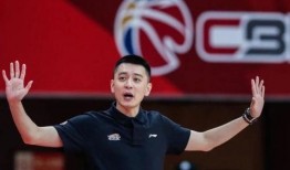 闺蜜爆料 杨鸣视频大全,杨鸣视频大全，揭秘明星私生活瞬间